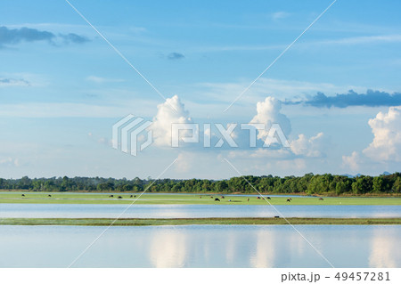 lake with cloudy blue sky background with copy lake with cloudy blue sky background with copy 49457281