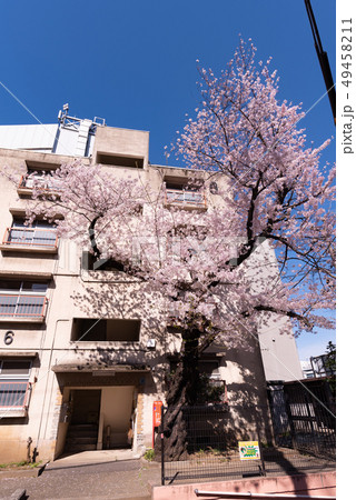 昭和な住宅 昭和な住宅 49458211