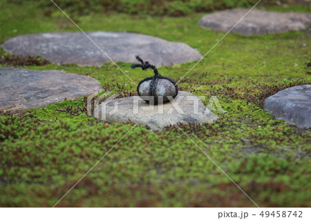 日本庭園 兼六園 止め石 日本庭園 兼六園 止め石 49458742
