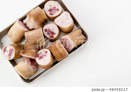 豚足先(チマグー) 豚足先(チマグー) 49459217