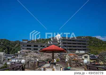 桜の咲く三朝温泉 49459779