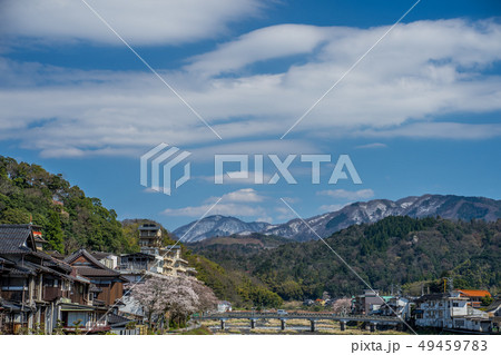 桜の咲く三朝温泉 49459783