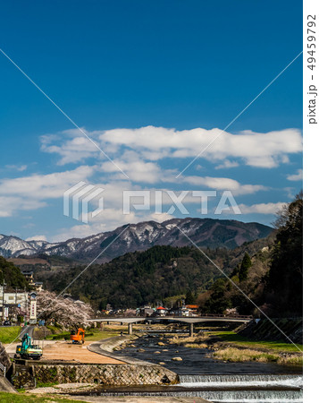 桜の咲く三朝温泉 桜の咲く三朝温泉 49459792