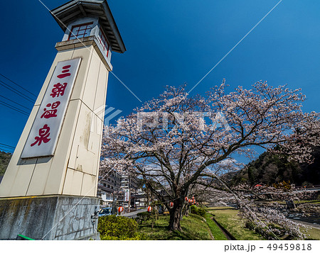 桜の咲く三朝温泉 49459818