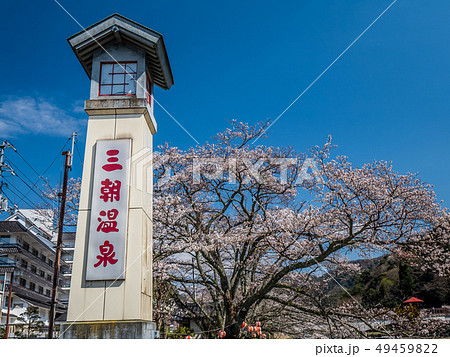 桜の咲く三朝温泉 桜の咲く三朝温泉 49459822