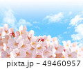 桜04 49460957
