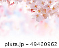桜03 49460962