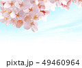 桜02 49460964