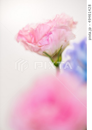 幸せ 嬉しい 喜ぶ 49461428