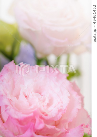 幸せ 嬉しい 喜ぶ 49461452