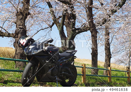 桜とバイク 49461638