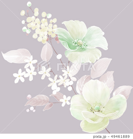 花 フラワー お花 49461889