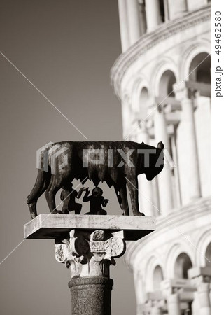 Leaning tower Capitoline wolf in Pisa 49462580