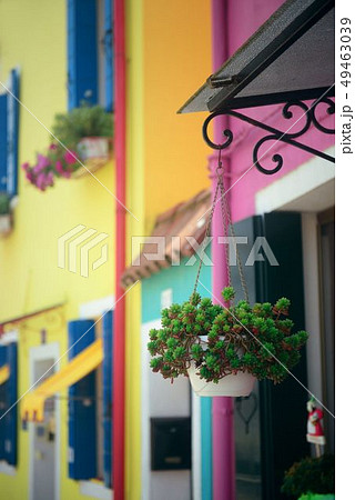 Colorful Burano 49463039