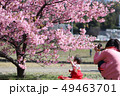桜と娘の写真を撮る母 49463701
