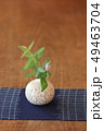 白い一輪挿しと紺色マットと若葉 49463704