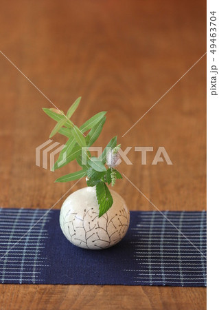 白い一輪挿しと紺色マットと若葉 49463704