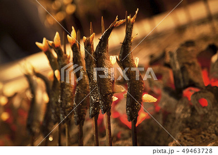 鮎の塩焼き 炭火焼 鮎の塩焼き 炭火焼 49463728