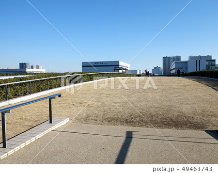 豊洲市場の屋上 豊洲市場の屋上 49463743