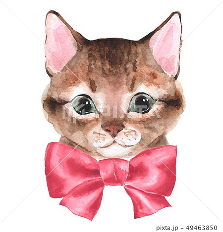 Cute cat. Watercolor illustration 49463850