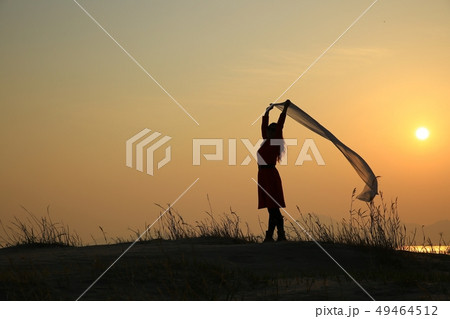 夕日 夕焼け 葦 49464512