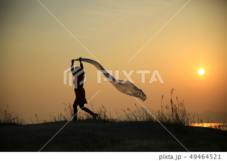 夕日 夕焼け 葦 49464521