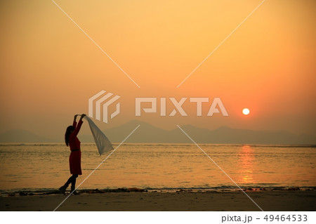 夕日 夕焼け 葦 49464533