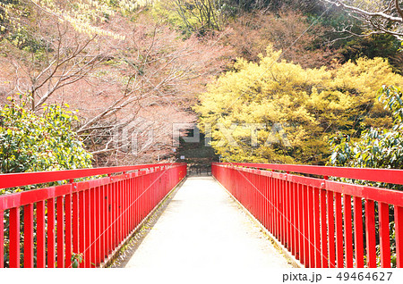 豊浦橋 豊浦橋 49464627
