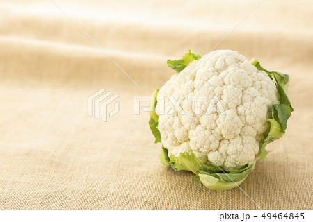 カリフラワー カリフラワー 49464845