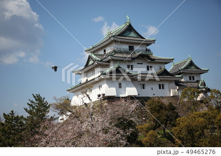 和歌山城 49465276