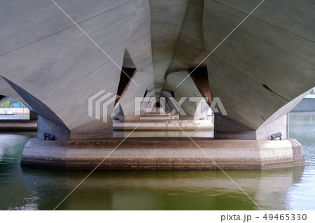 A gland the size of a large bridge over the sea. 49465330
