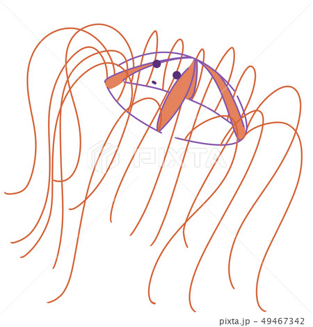 カギノテクラゲ真顔 カギノテクラゲ真顔 49467342