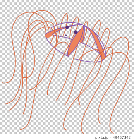 カギノテクラゲ真顔 カギノテクラゲ真顔 49467342