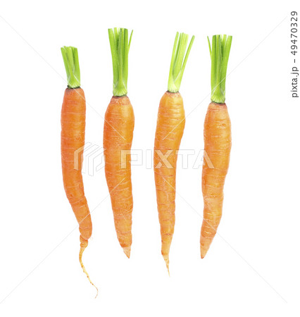 fresh carrots on white background 49470329