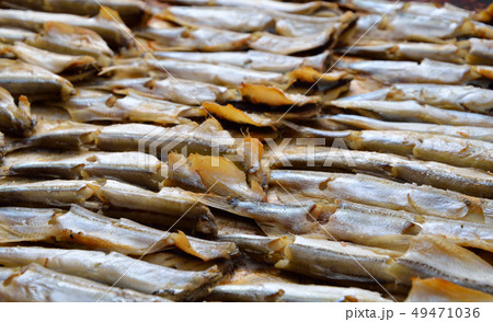 Baked capelin. Baked capelin. 49471036