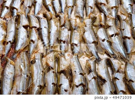 Baked capelin. 49471039