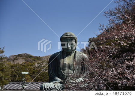 春の大仏さま 49471070