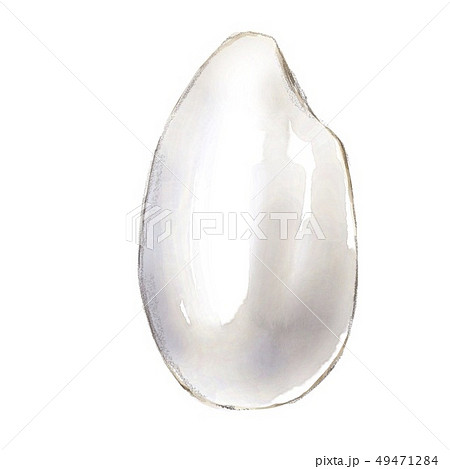 ピカピカの米粒のイラスト素材