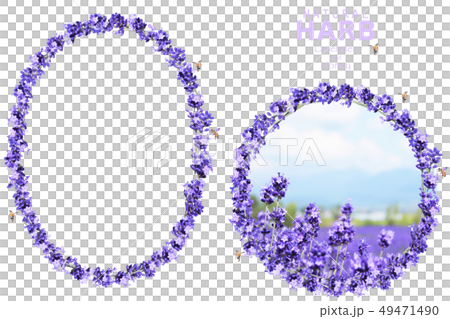 ラベンダーリースとミツバチ コラージュ ラベンダーリースとミツバチ コラージュ 49471490