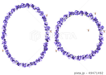 ラベンダーリースとミツバチ コラージュ ラベンダーリースとミツバチ コラージュ 49471492