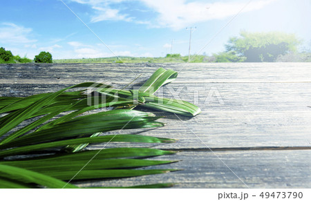 Palm Sunday concept 49473790