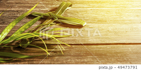 Palm Sunday concept Palm Sunday concept 49473791