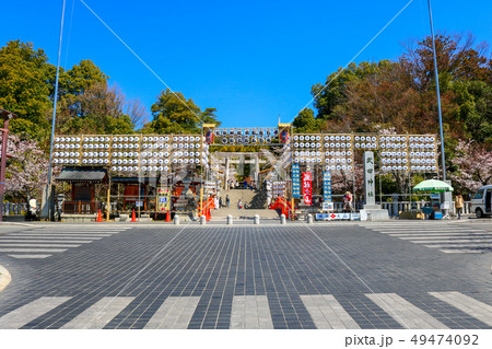 ■ 武田神社 ■ 武田神社御鎮座百年・甲府開府五百年 ■ 桜満開 ■ 武田信玄 ■ 山梨県 ■ 武田神社 ■ 武田神社御鎮座百年・甲府開府五百年 ■ 桜満開 ■ 武田信玄 ■ 山梨県 49474092
