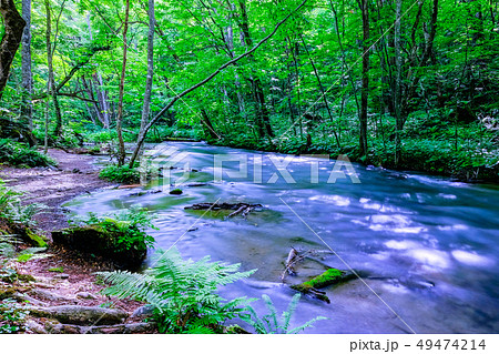 奥入瀬渓流 奥入瀬渓流 49474214
