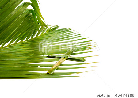 Palm Sunday concept 49474289
