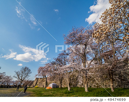 桜の名所 津山城跡 桜の名所 津山城跡 49474699