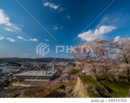 桜の名所　津山城跡 49474764