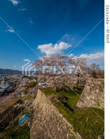 桜の名所 津山城跡 桜の名所 津山城跡 49474765