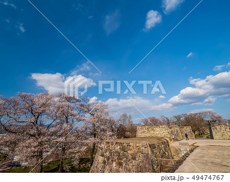 桜の名所 津山城跡 桜の名所 津山城跡 49474767
