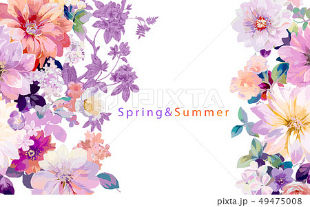 花 フラワー お花 49475008